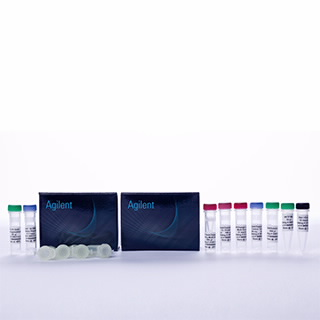 SureSelect Custom Probes 科普：定制化 DNA 捕获探针