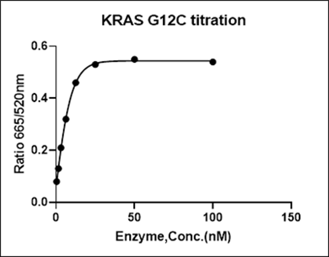 基于TR-FRET技术的KRAS G12C/CRBN PROTAC试剂盒在靶向蛋白降解研究中的应用