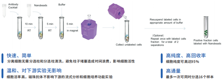 无柱式磁珠分选示意图