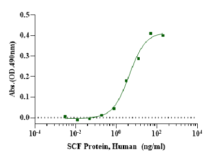 SCF蛋白的结构特征与生物学功能研究