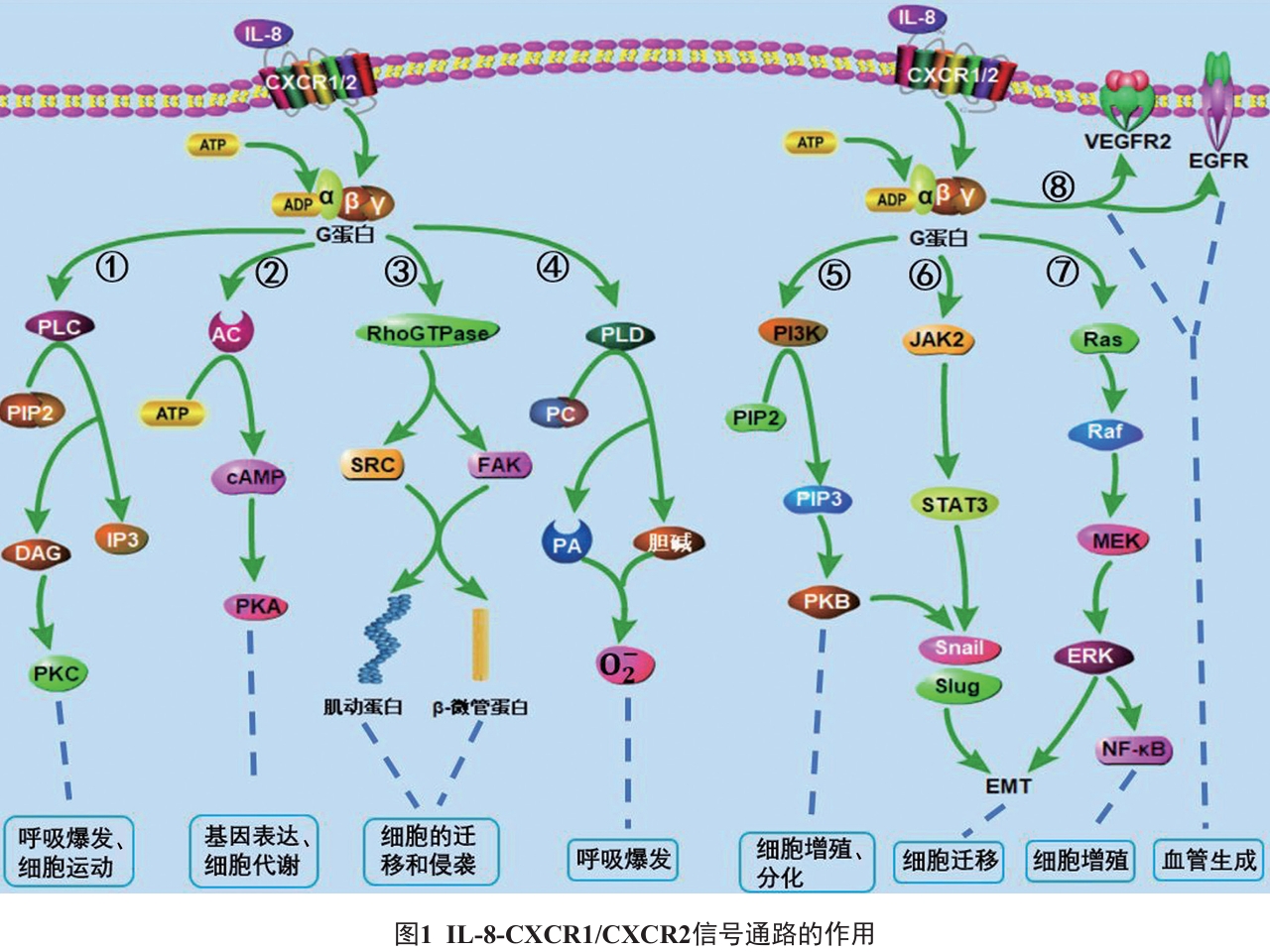 新闻图片1