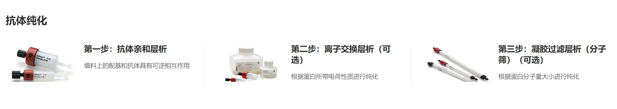 新闻图片2