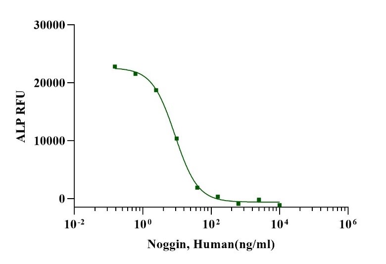 Noggin 蛋白科普：什么是 Noggin？