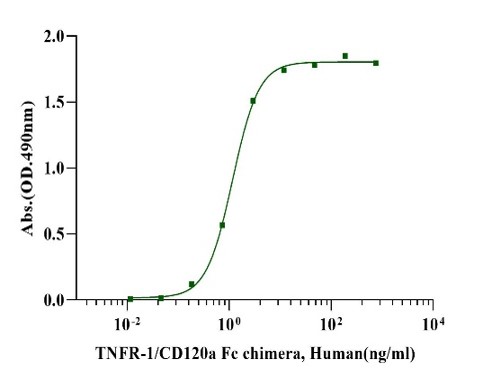 TNFR-1/CD120a蛋白的结构与功能特征