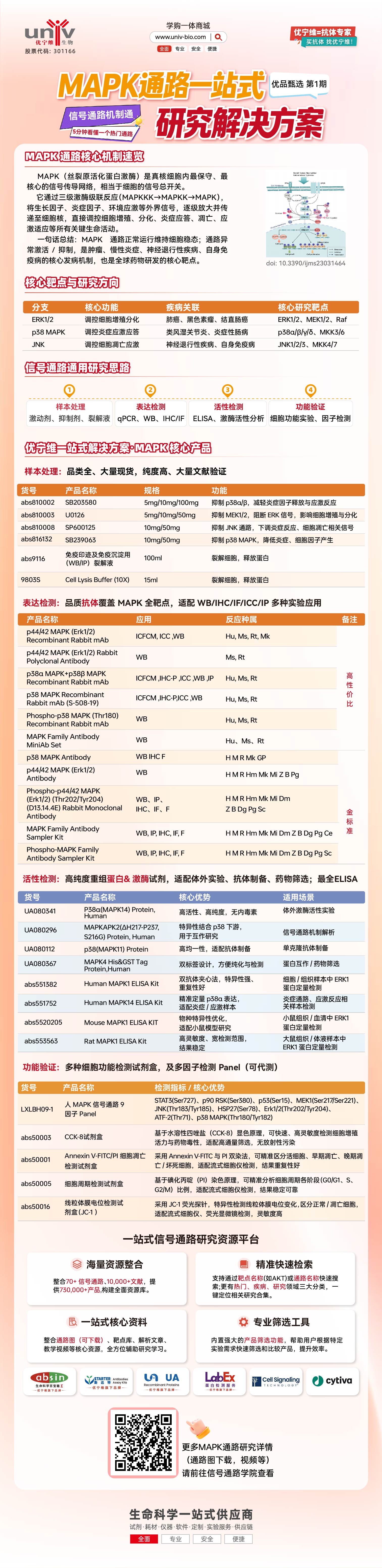 解锁MAPK通路研究密码 优宁维一站式解决方案，5分钟吃透热门通路！