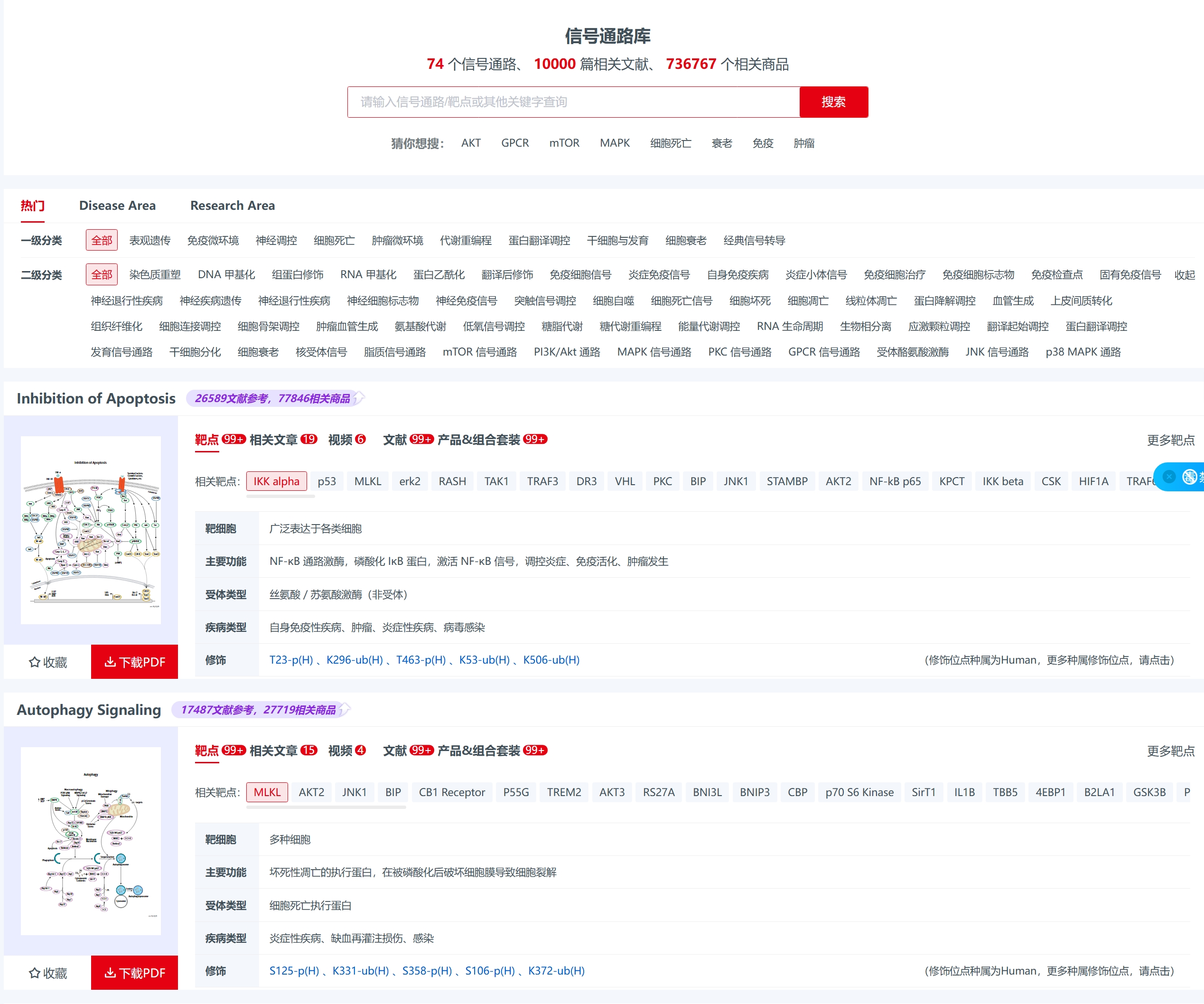 新闻图片2