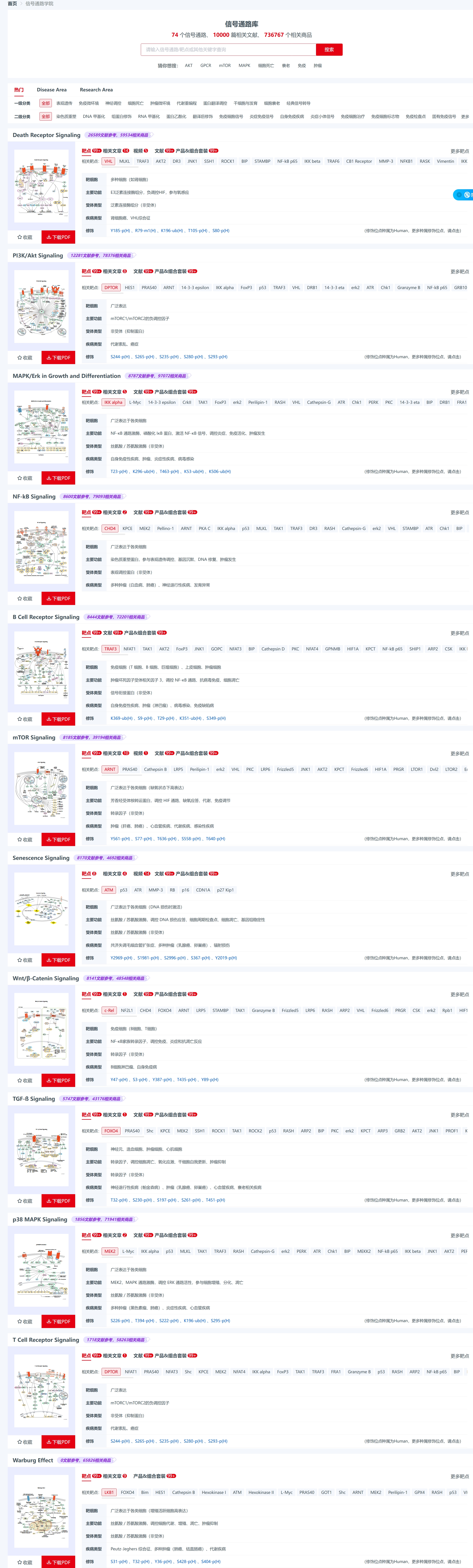 新闻图片2