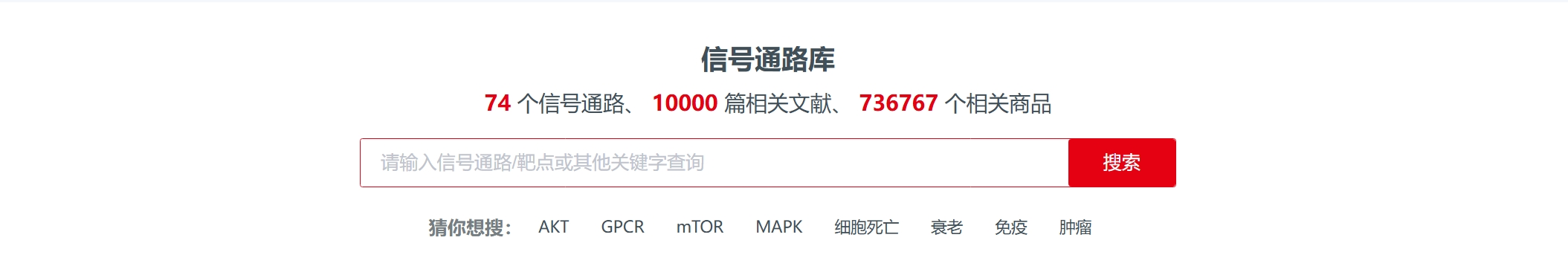 新闻图片3