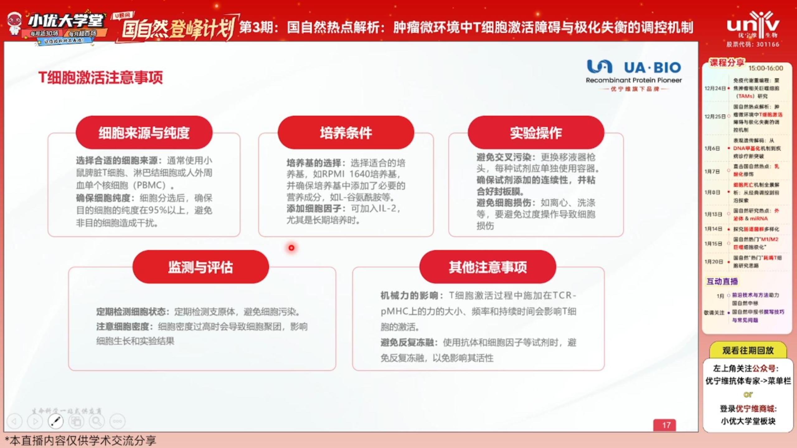 T 细胞激活实验