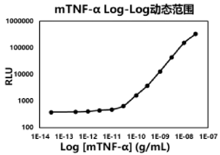 新闻图片11