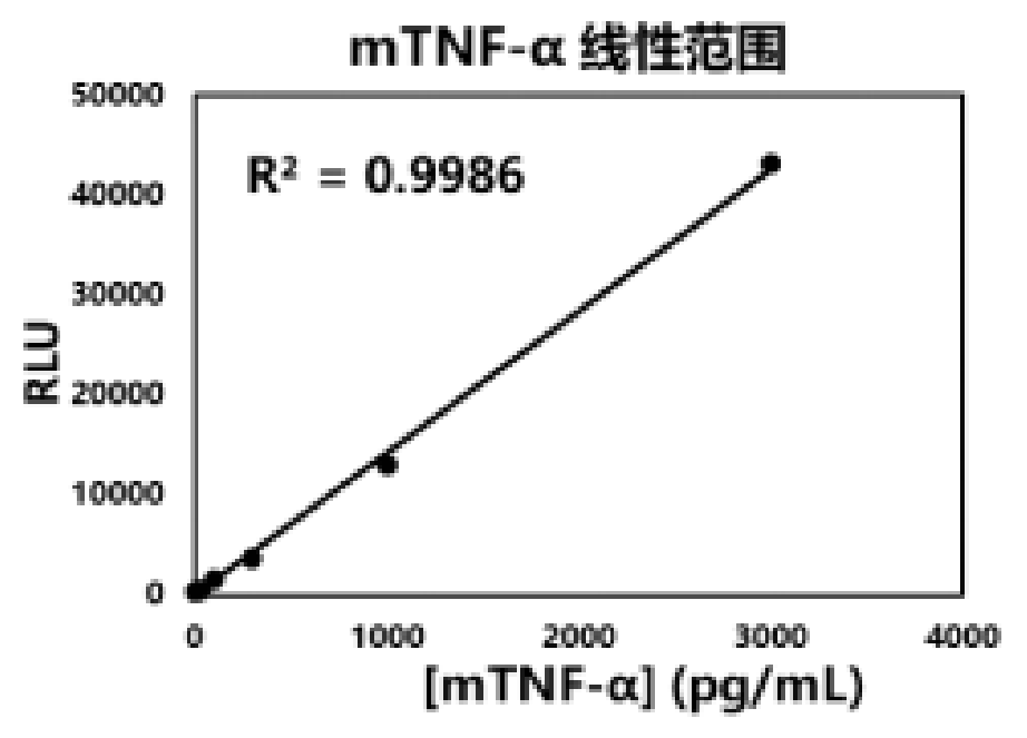 新闻图片12