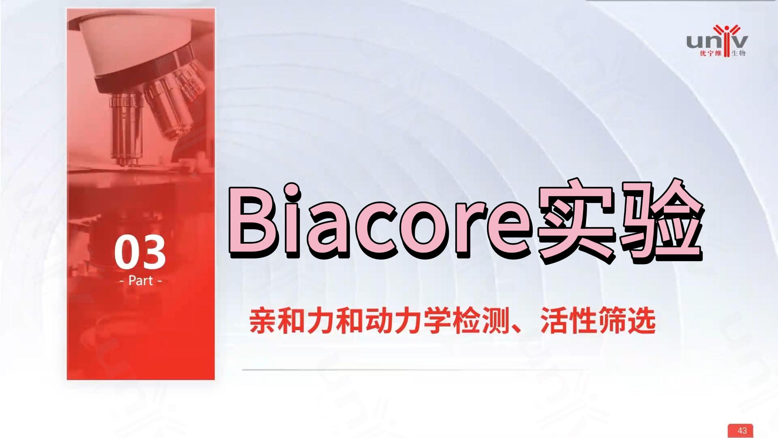 Biacore实验:亲和力检测