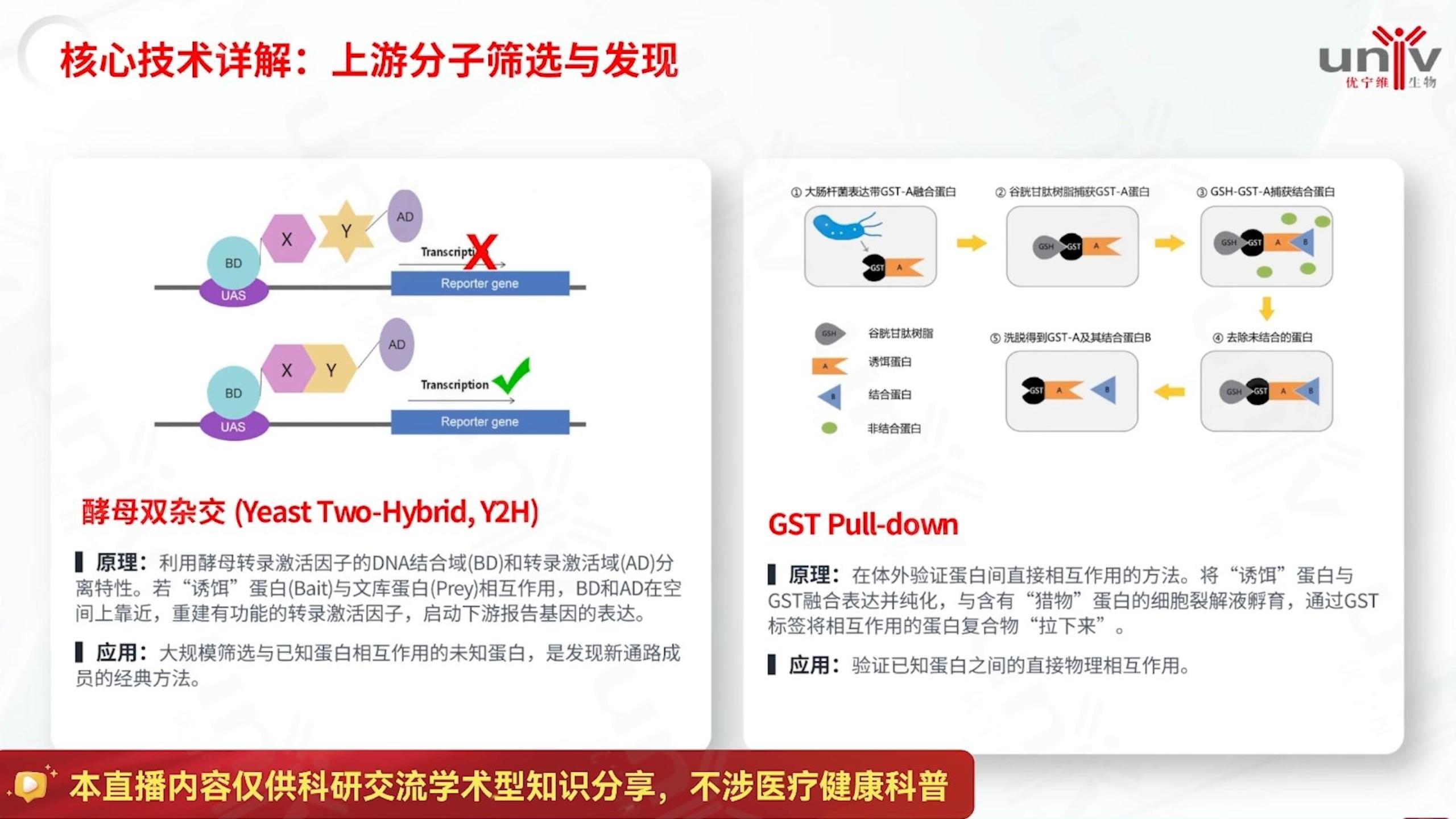 蛋白互作上游技术：酵母双杂交与 GST Pull-down 详解