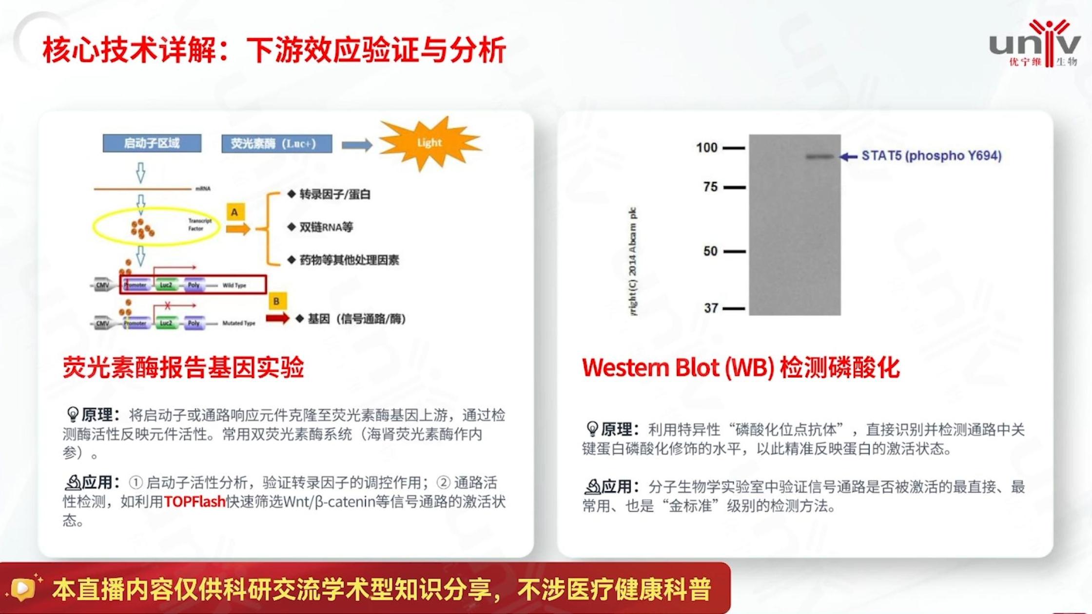 信号通路下游验证这两个经典实验必须吃透!