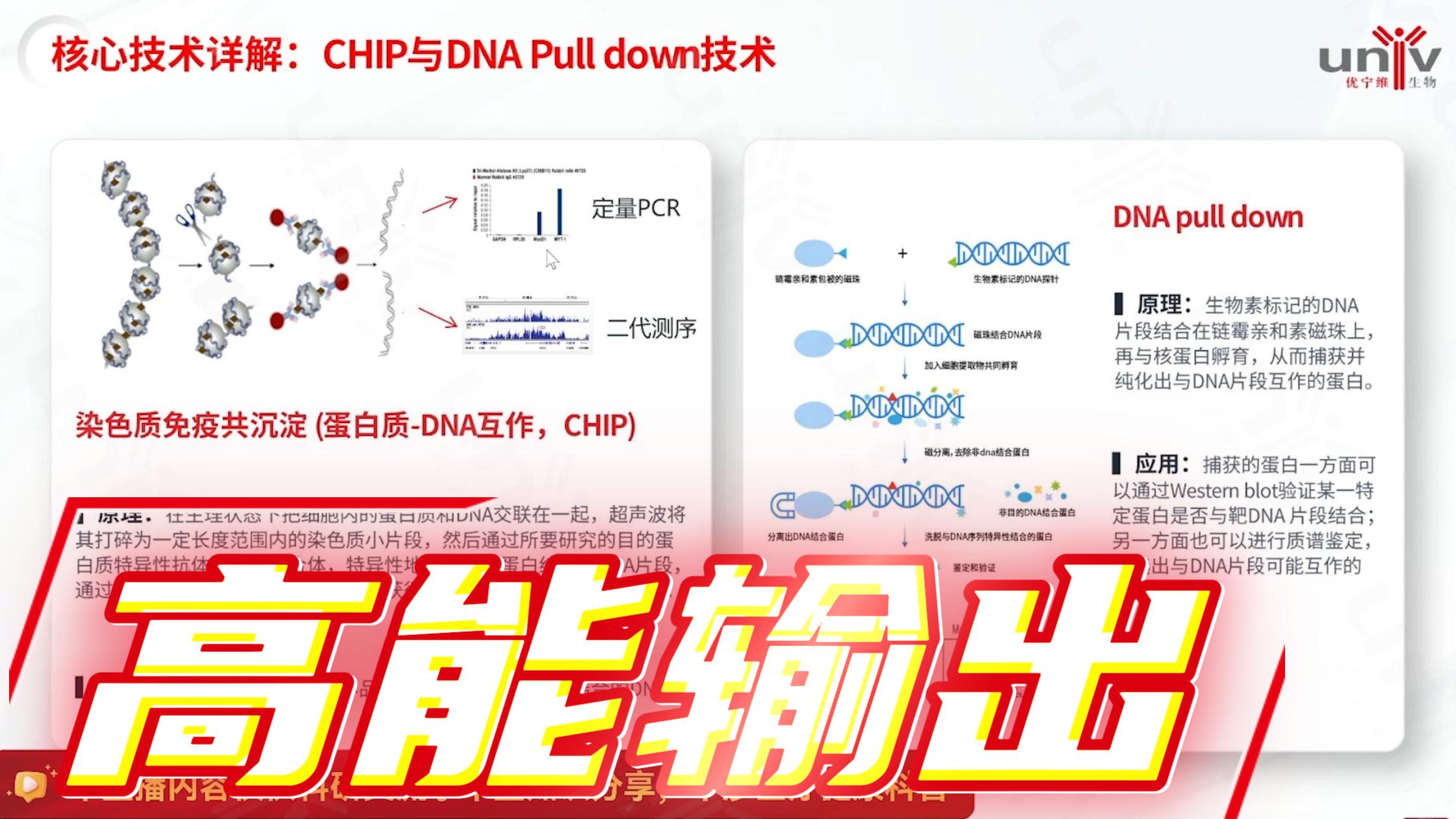 蛋白 - DNA 互作两大核心技术拆解