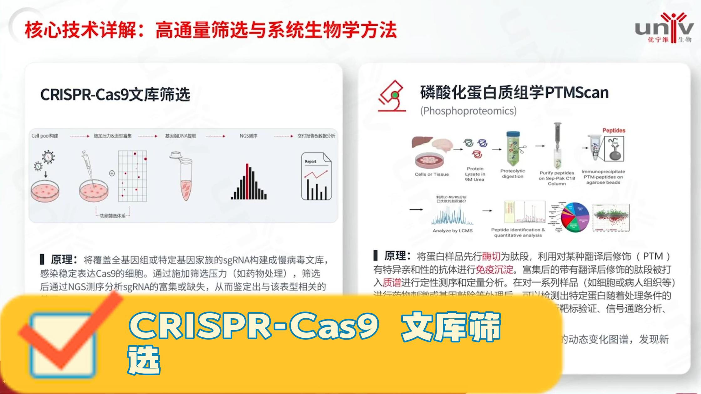 做药物靶点筛选的科研人快看过来!
