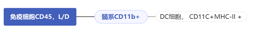 新闻图片2