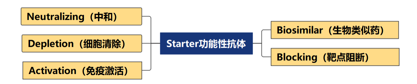 新闻图片3