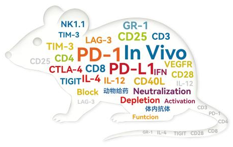 PD-1靶点爆款Biosimilar抗体：帕博利珠单抗Pembrolizumab