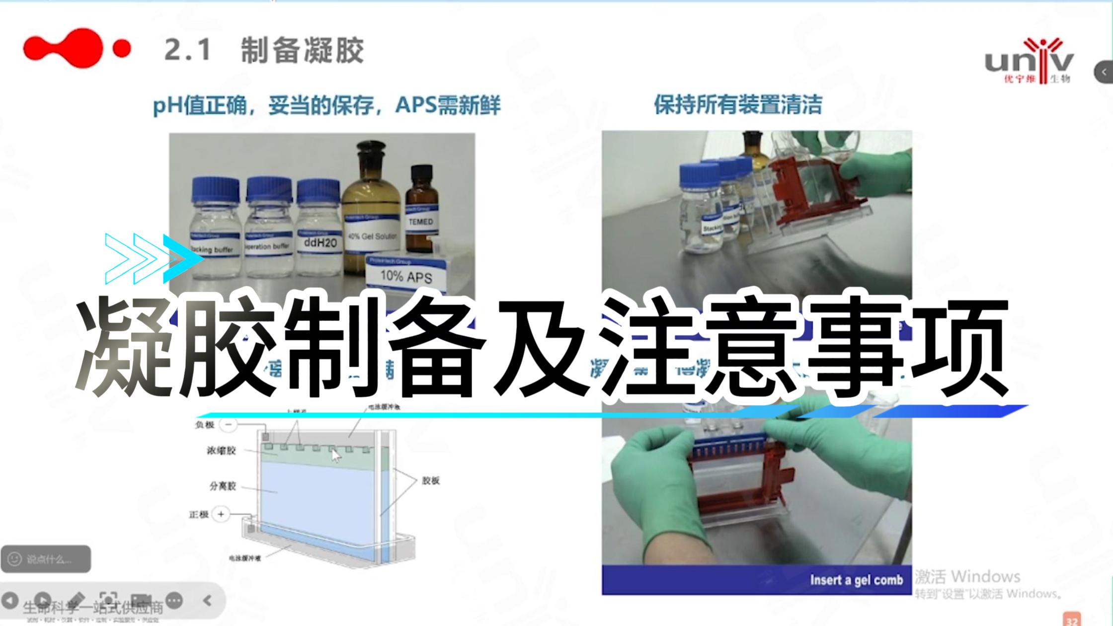 WB实验中 制备凝胶和注意事项