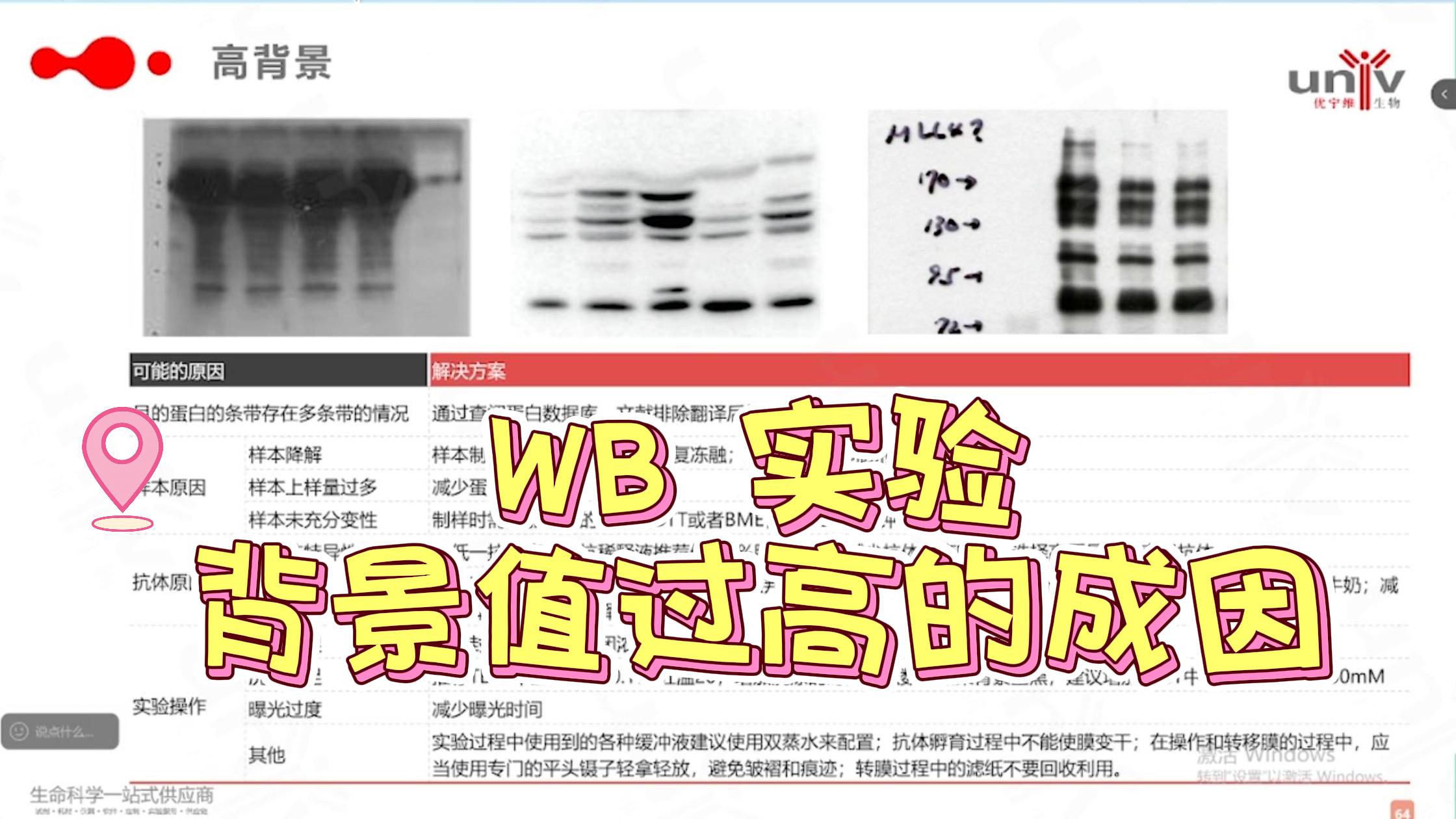 WB 背景值过高主要成因
