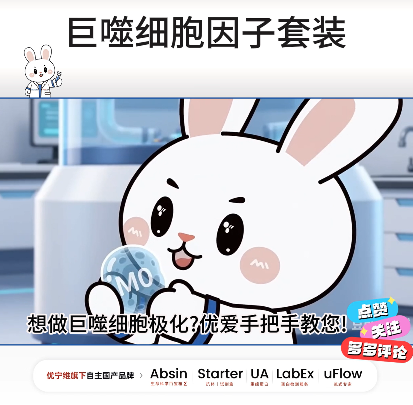巨噬细胞极化套装|M0/M1/M2 诱导一步配齐