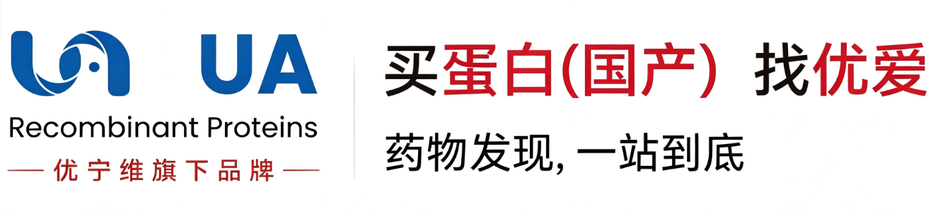 ITK靶点进入临床验证期:药物开发的三大瓶颈与优爱蛋白一站式解决方案