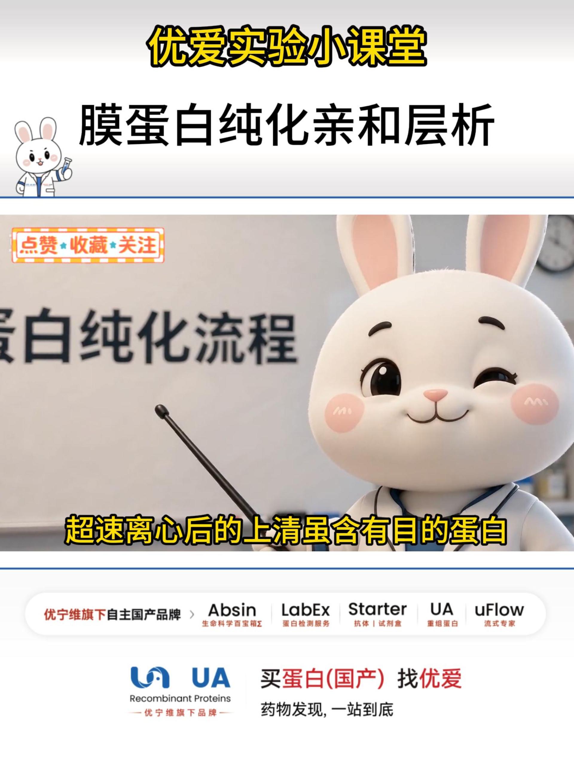 膜蛋白亲和层析