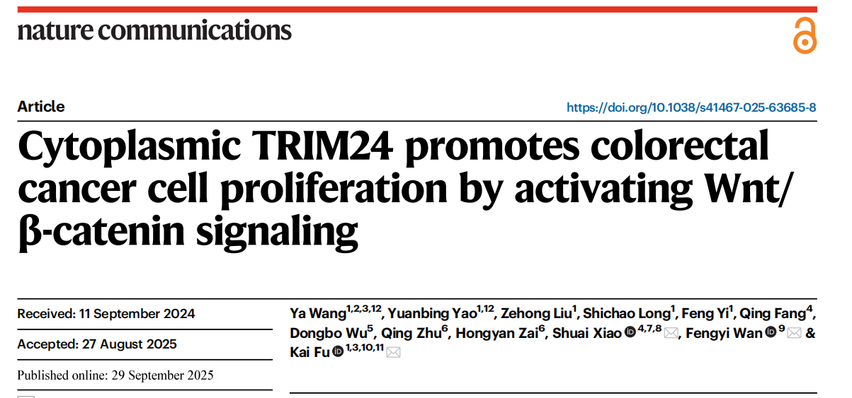 CRC 治疗困局突破！Absin 助力《自然-通讯》揭秘胞质 TRIM24 促癌机制，为精准靶向开辟新路径
