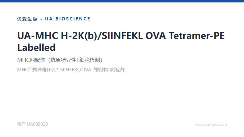 MHC四聚体是什么？SIINFEKL/OVA 四聚体如何检测抗原特异性T细胞