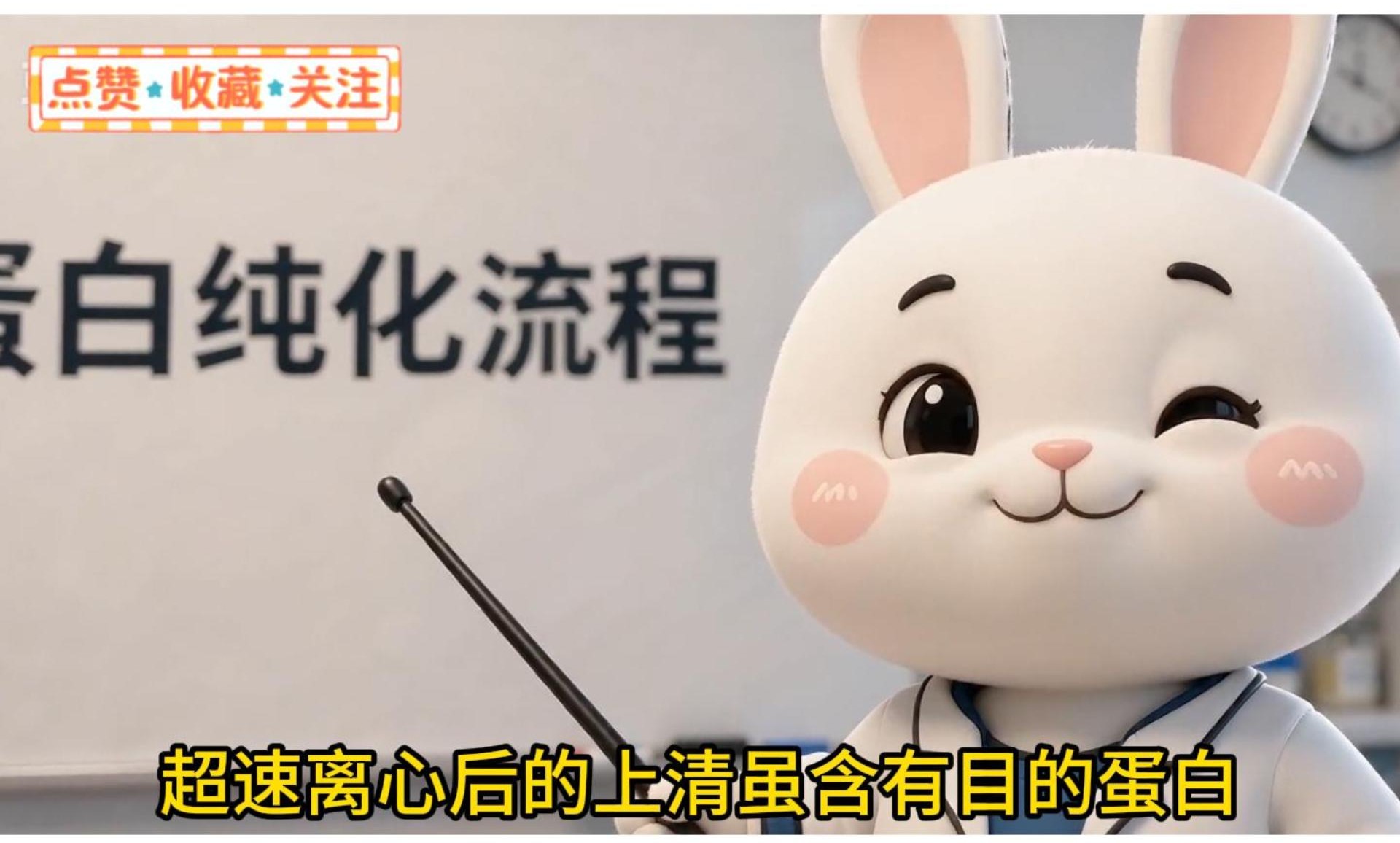膜蛋白亲和层析