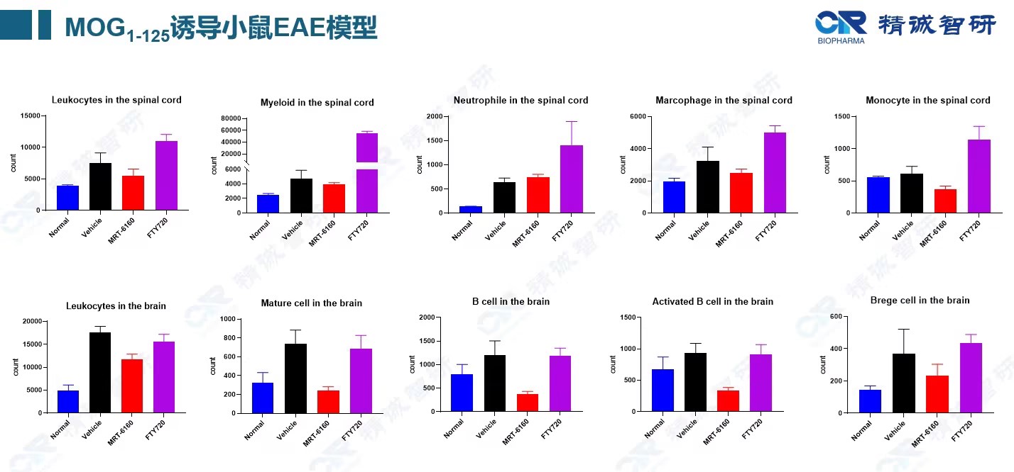 重组人mog蛋白：做 EAE 诱导实验时，哺乳动物表达版本为何更值得选？