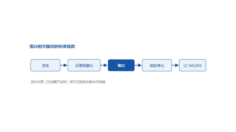 胰蛋白酶怎么选？质谱级等级、活性单位、价格与供应商问答清单
