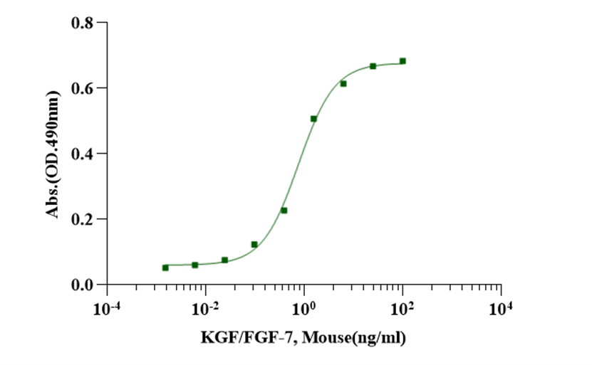 KGF/FGF-7蛋白 怎么选?价格、厂家、配套因子与验收要点(采购选型问答|货号 UA040110)