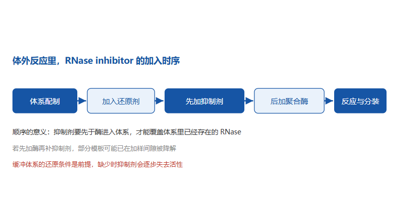 重组人murine rnase inhibitor蛋白：RNA 还是降解了，先查哪几个环节？