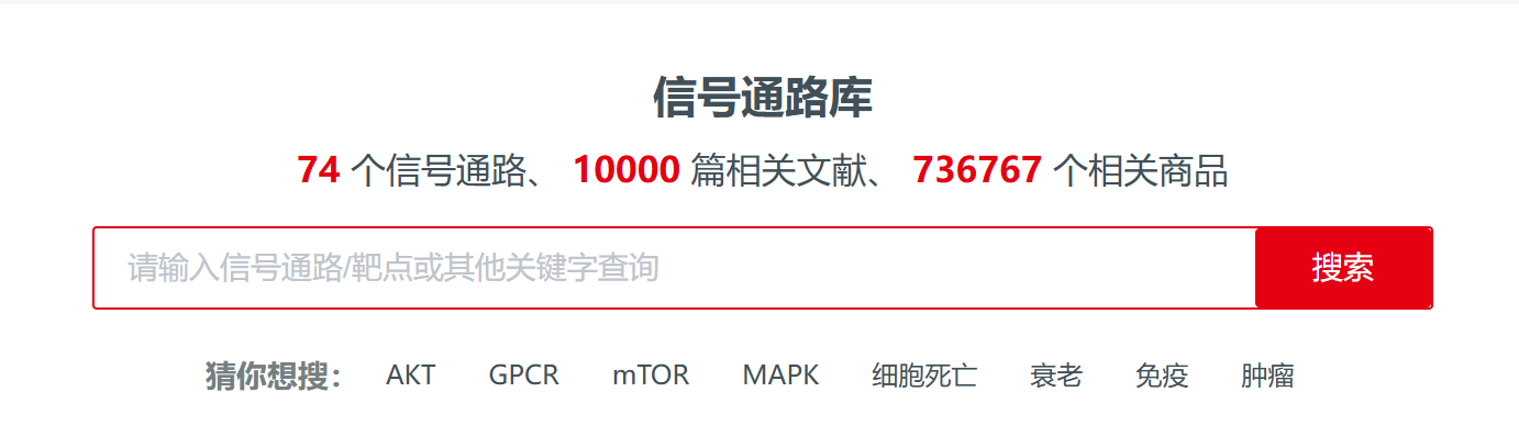 新闻图片6