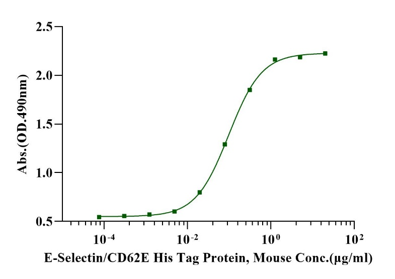 重组小鼠E-Selectin/CD62E蛋白是什么?E-Selectin/CD62E靶点蛋白的原理、活性与实验应用|E-Selectin/CD62E His Tag Protein, Mouse