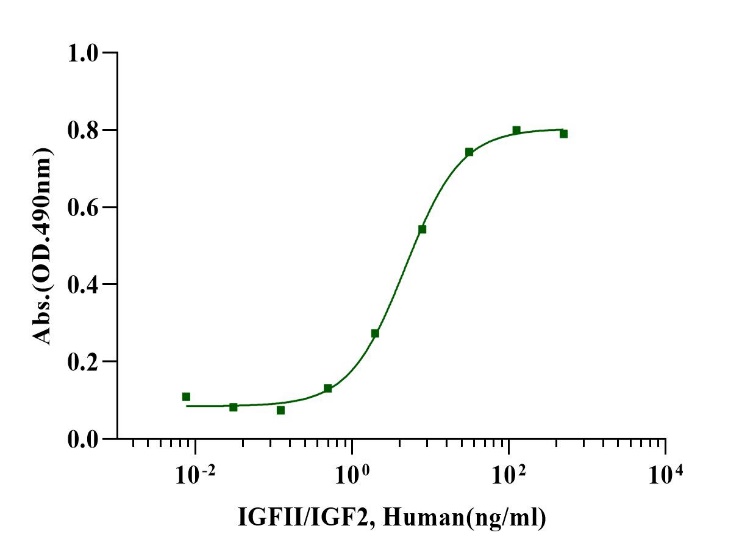 重组人IGF-II蛋白 价格多少？IGF-II靶点蛋白选型问答：厂家、哪里买与活性怎么测｜IGF-II Protein, Human