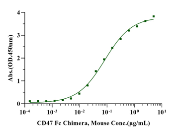 重组小鼠cd47 fc蛋白 价格多少?cd47 fc靶点蛋白选型问答:厂家、哪里买与活性怎么测|CD47 Fc Chimera Protein, Mouse