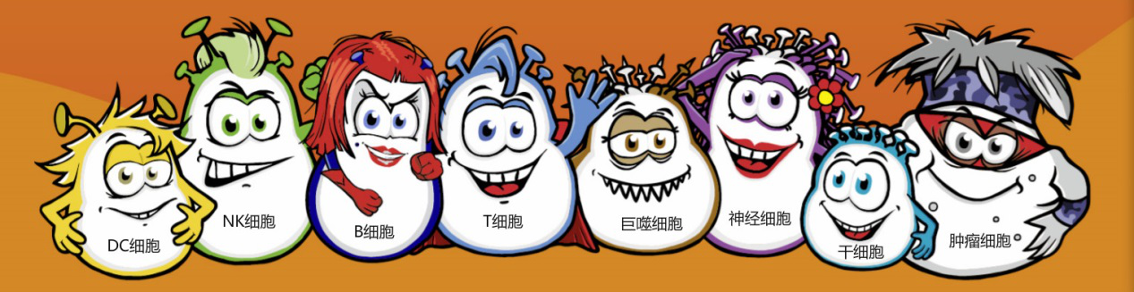 单细胞悬液制备集锦